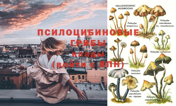 каннабис Кодинск