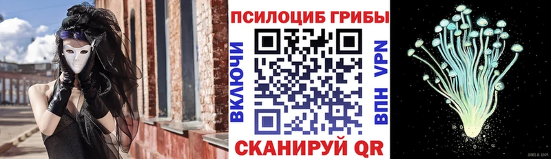 Псилоцибиновые грибы прущие грибы  это состав  Кирсанов 